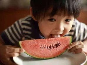 娱乐吃瓜酱一年级,校园趣事大揭秘